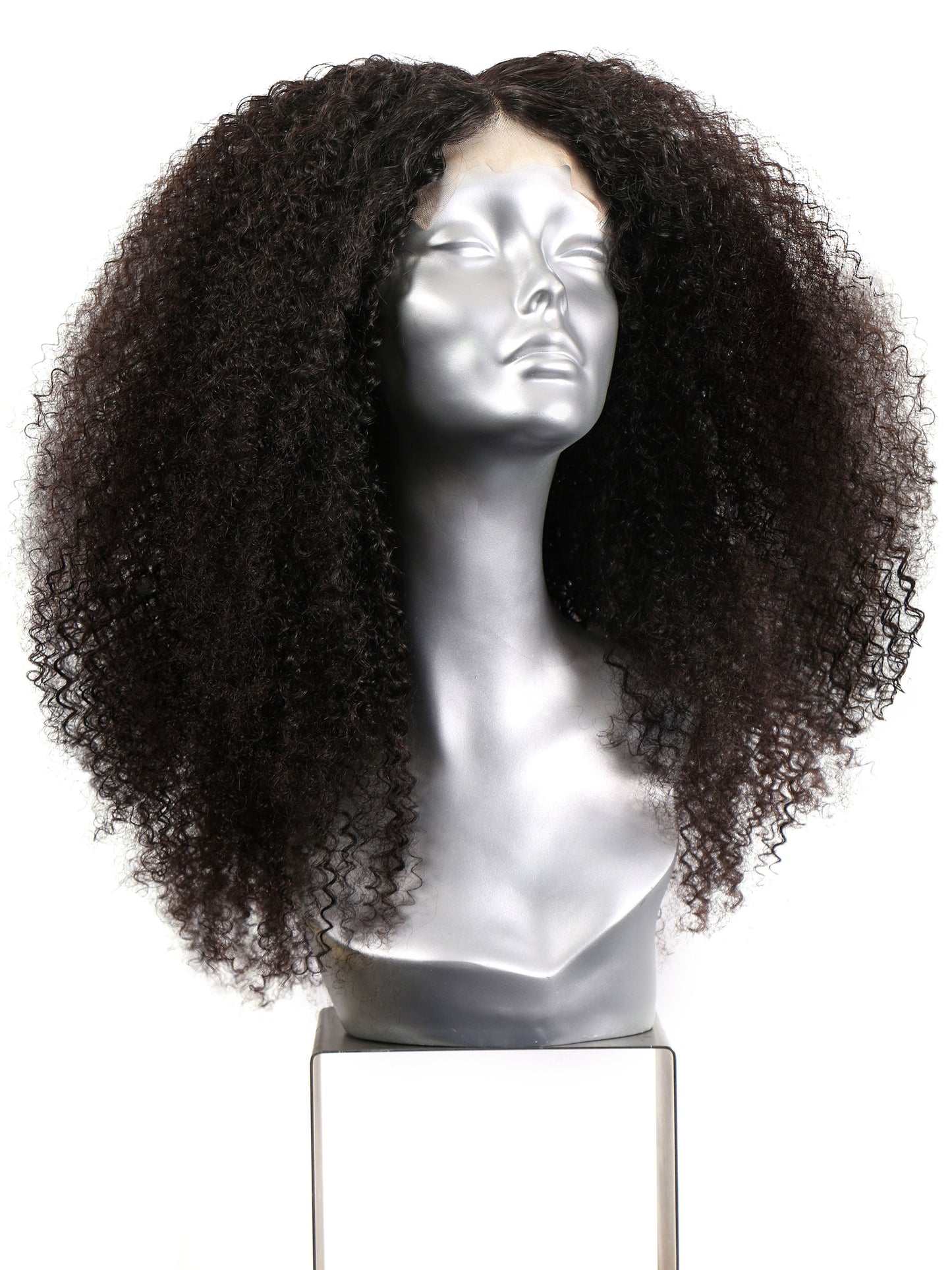 The Organic Curl Closure Wig