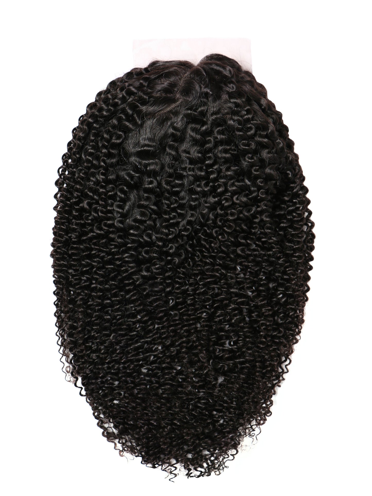 The Organic Curl Closure Wig